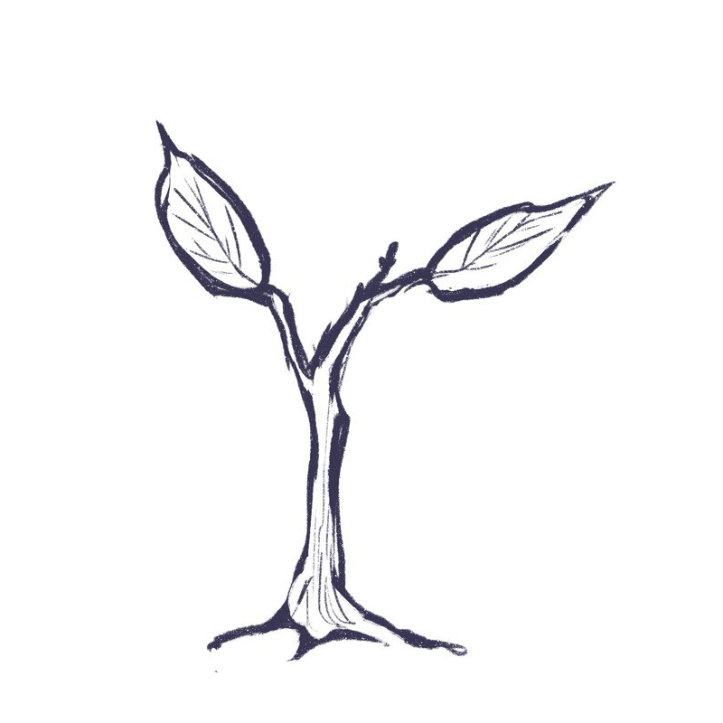 Image A
